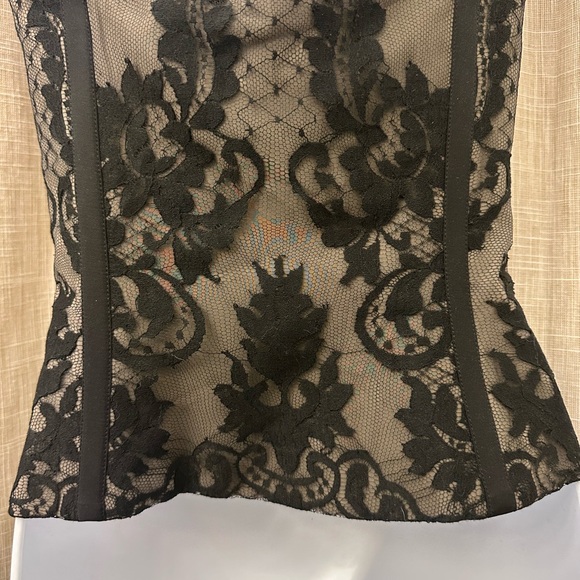 TEMPERLEY LONDON “Amy Winehouse” Black Lace & Mushroom Silk Corset Bustier US 4 - Picture 12 of 16
